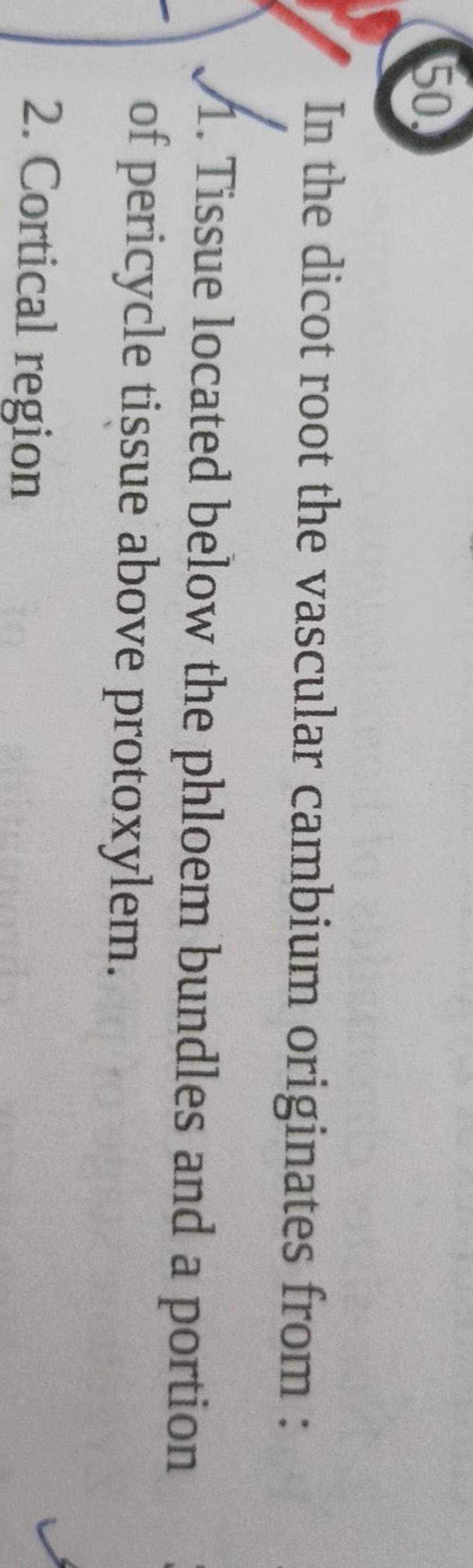 In the dicot root the vascular cambium originates from 1. Tissue locate..