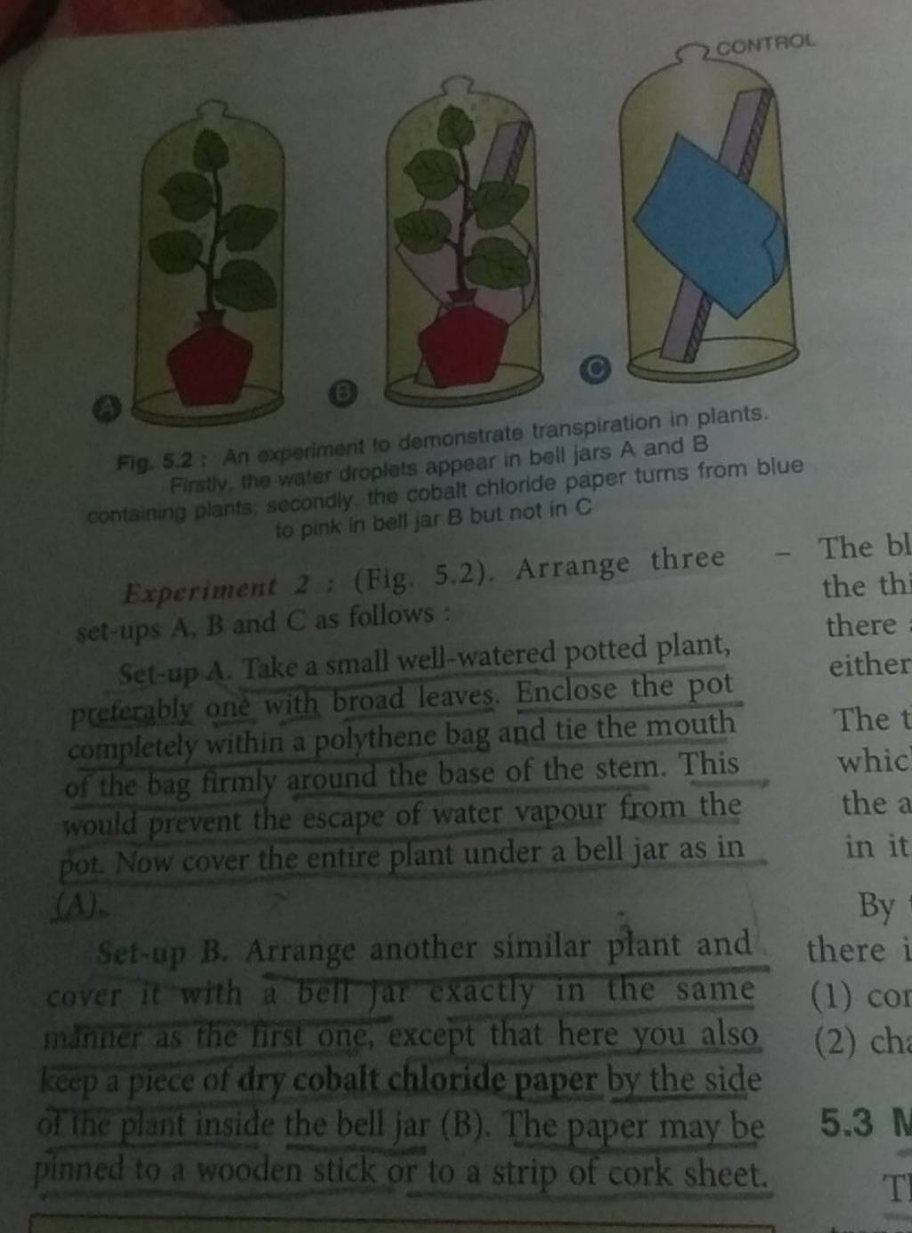 experiment to demonstrate transpiration in plants