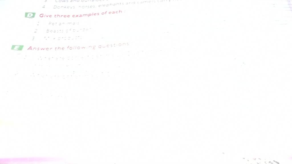 Di give three examples of each filo