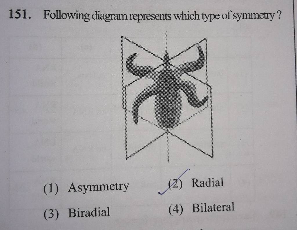 Following Diagram Represents Which Type Of Symmetry Filo