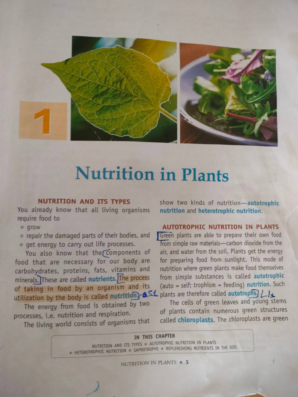 Nutrition in Plants NUTRITION AND ITS TYPES show two kinds of nutritiona..
