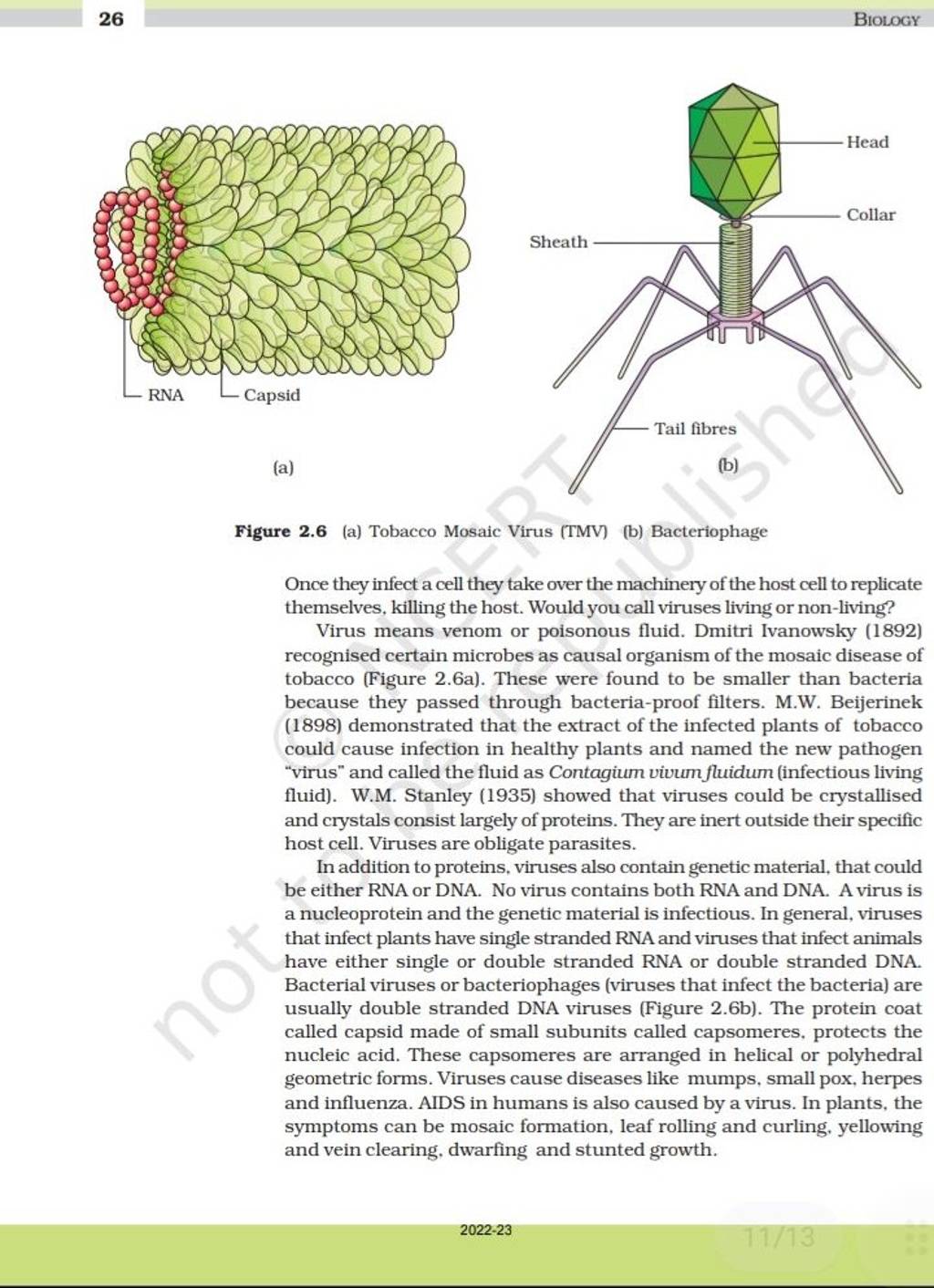 Tobacco Mosaic Virus Diagram