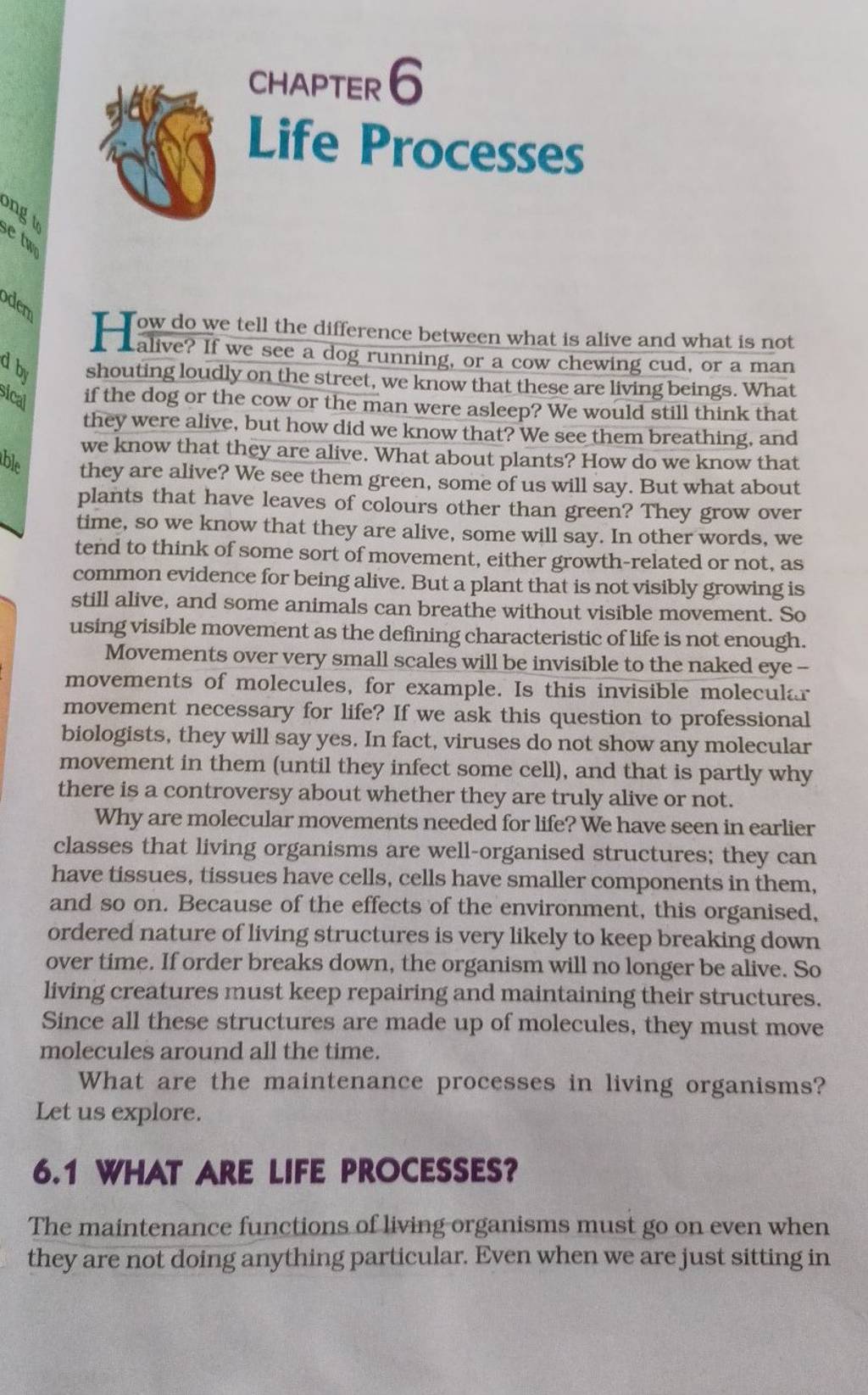 CHAPTER 6 Life Processes Tow do we tell the difference between what is al..