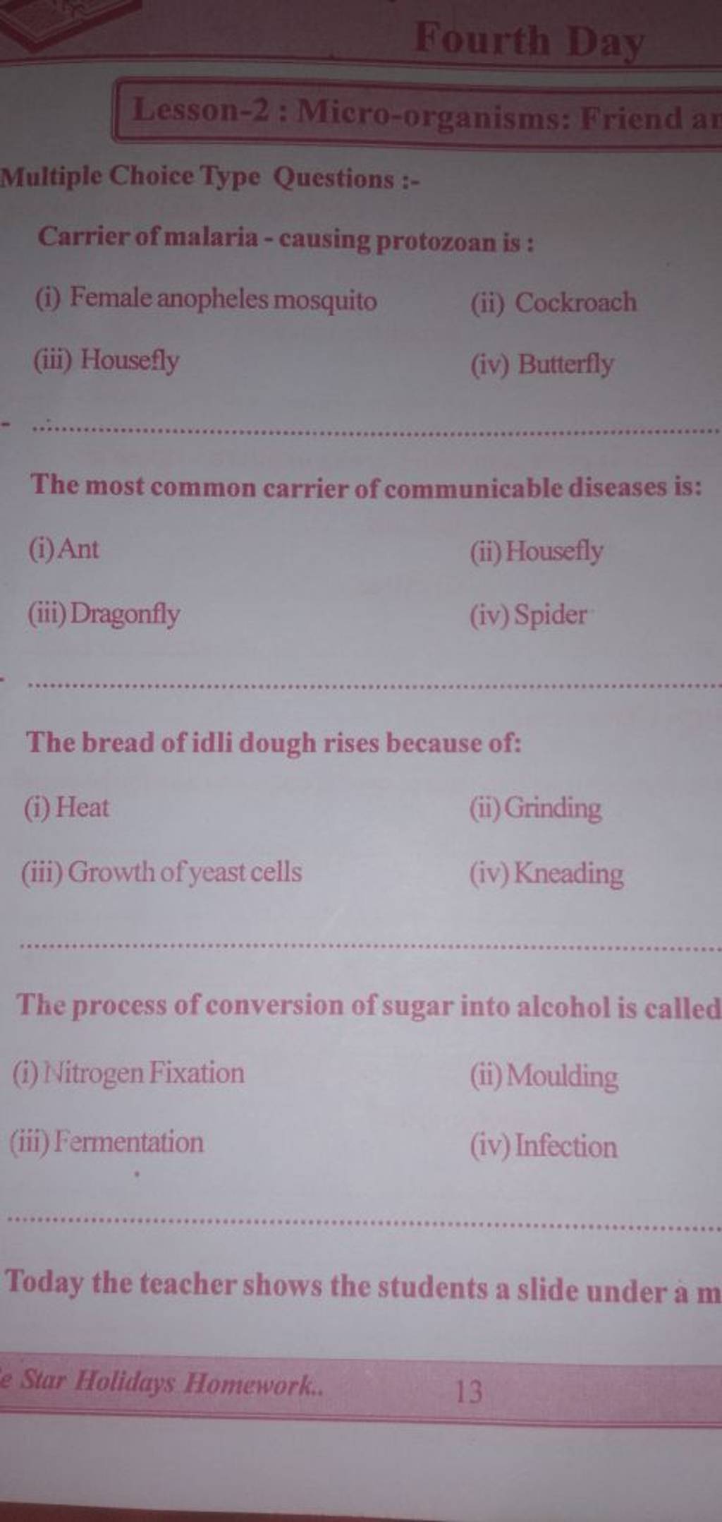 The bread of idli dough rises because of Filo