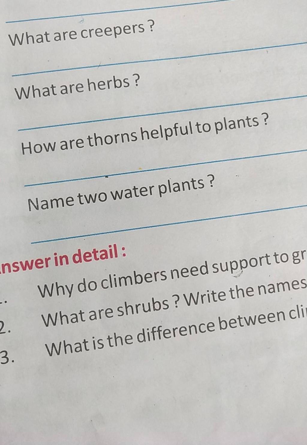 What are creepers? What are herbs? How are thorns helpful to plants? Name..