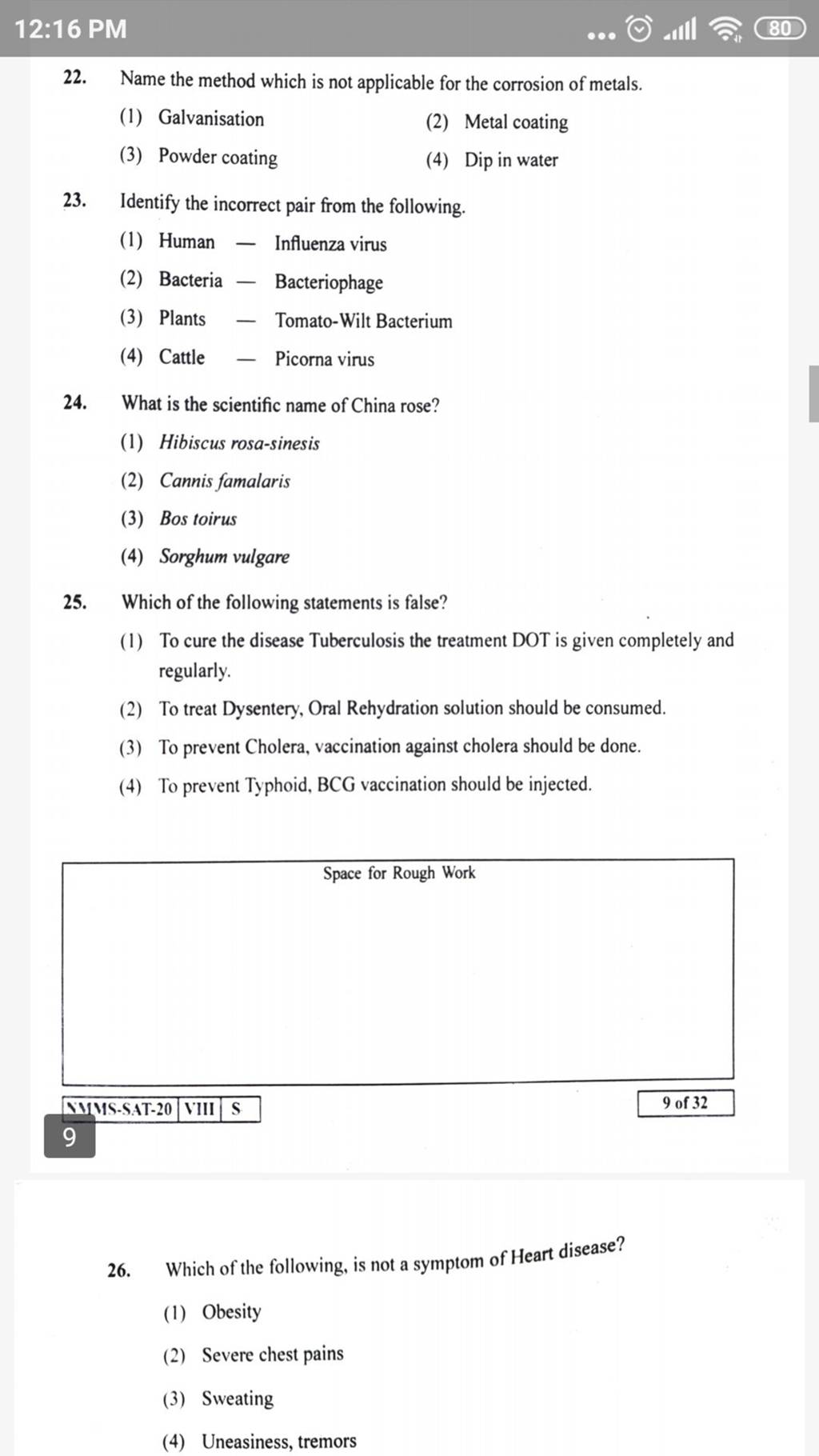 What is the scientific name of China rose? Filo