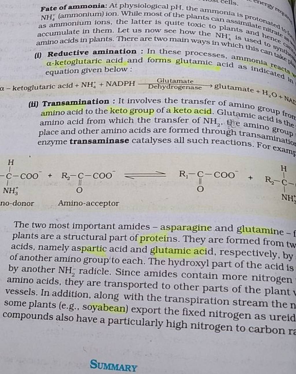 Fate of ammonia: At physiological pH, the ammonia is proton NH4+ (ammoniu..