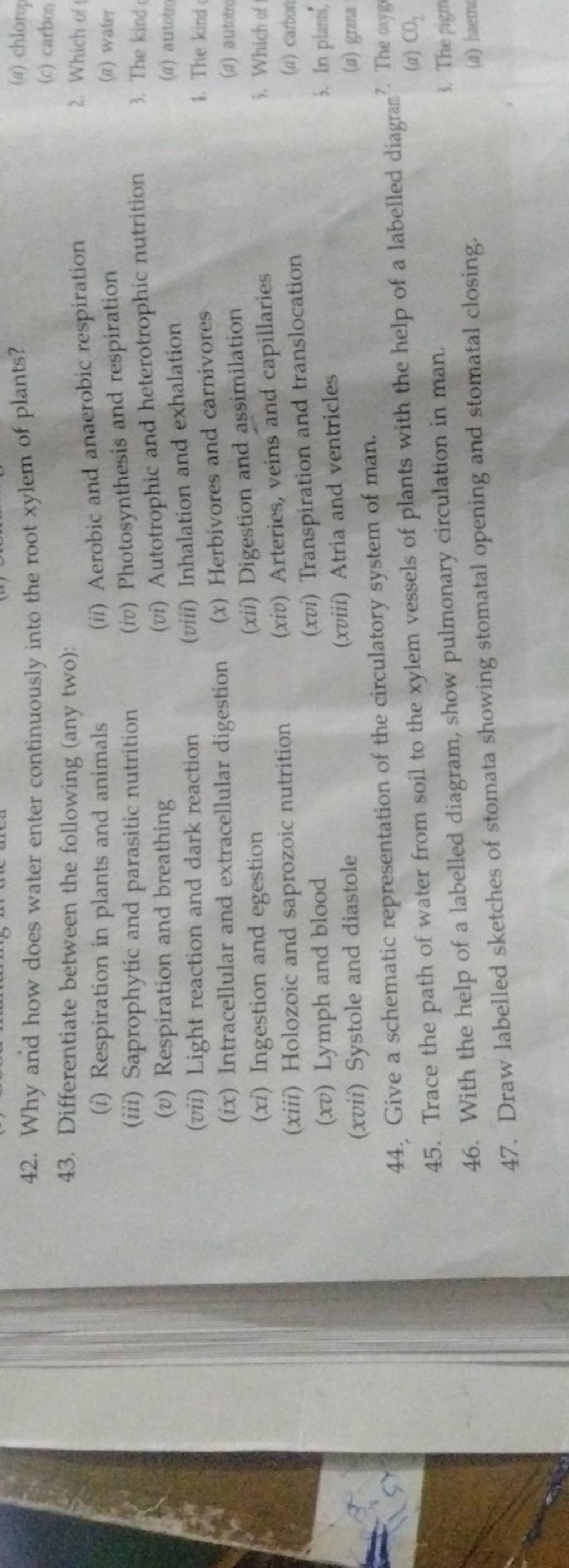 Why arid how does water enter continuously into the root xylem of plants?..