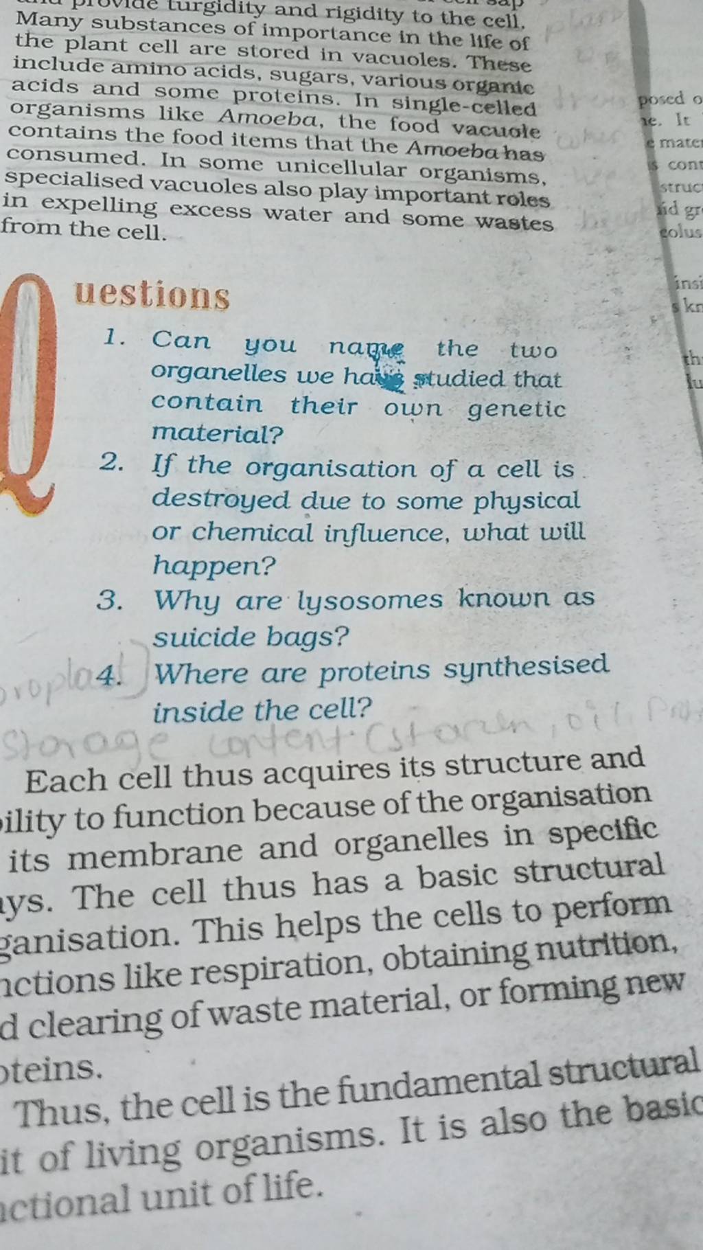 many-substances-of-and-rigidity-to-the-cell-the-plant-cell-are-stored-in