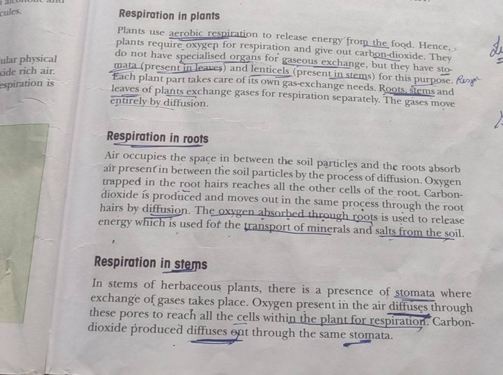 Respiration in plants Plants use aerobic respiration to release energy fr..