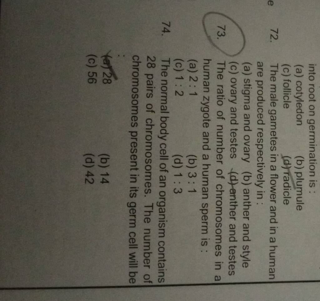 The ratio of number of chromosomes in a human zygote and a human sperm is..