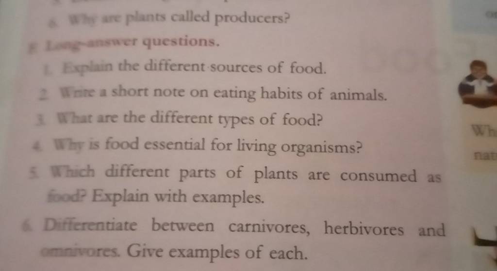 why-are-plants-called-producers-e-lang-answer-questions-filo