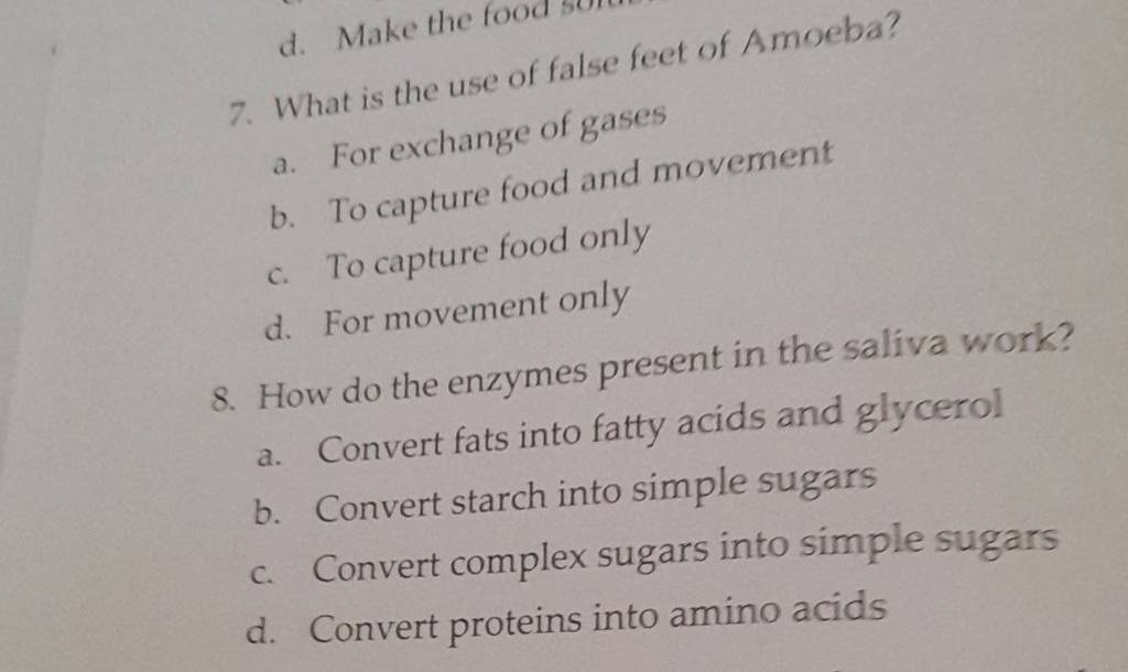 How do the enzymes present in the saliva work? Filo