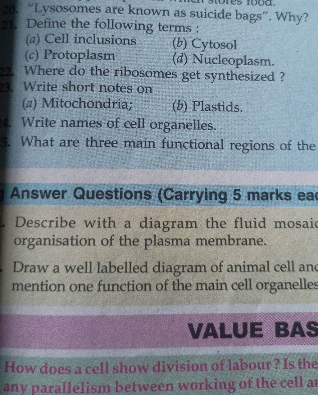 "Lysosomes are known as suicide bags". Why? Define the following terms