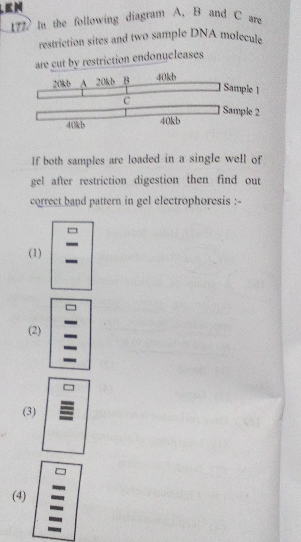 In The Following Diagram A B And C Ane Restriction Sites And Two Sample D in-the-following-diagram-a-b-and-c-ane-restriction-sites-and-two-sample-d