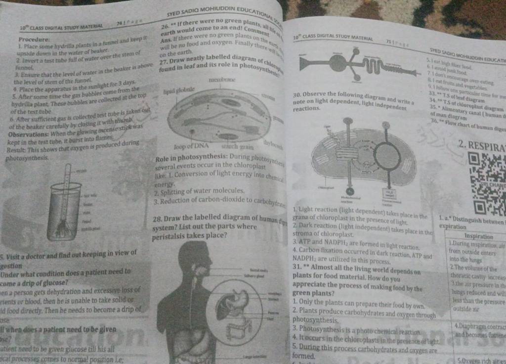 the level of stem of the funnel. found in leaf and is role in plotosy of..