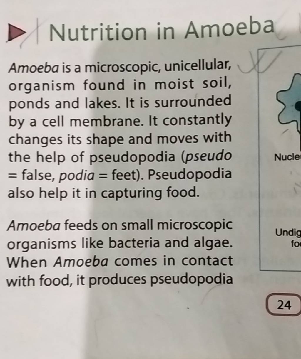 nutrition-in-amoeba-amoeba-is-a-microscopic-unicellular-organism-found