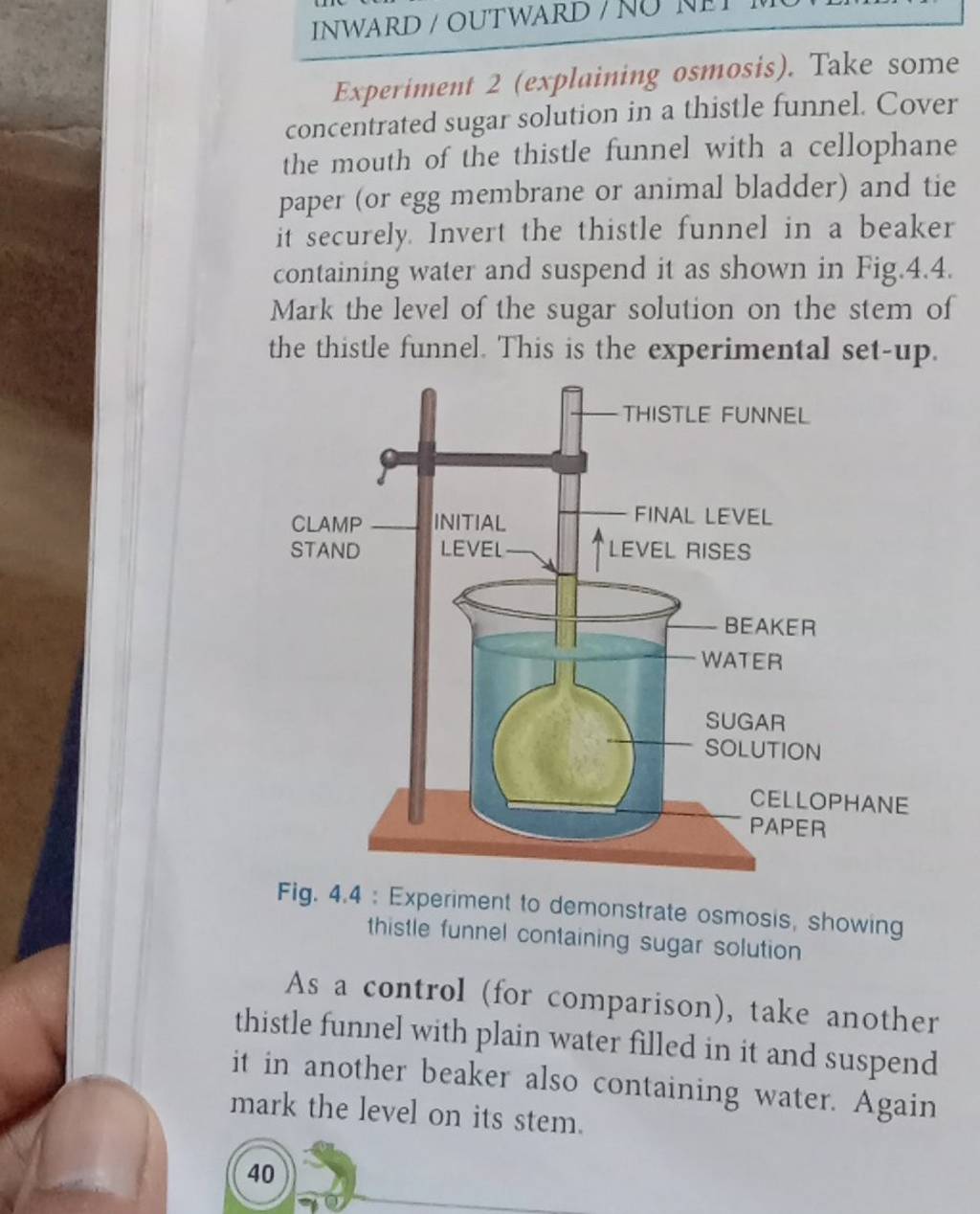 experiment 2 biology