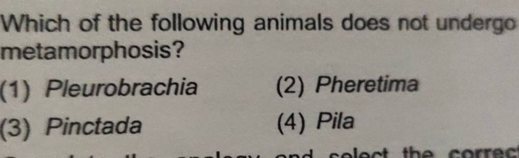 Which of the following animals does not undergo metamorphosis? | Filo Which of the following animals does not undergo metamorphosis? | Filo