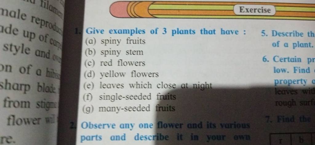 give-examples-of-3-plants-that-have-filo