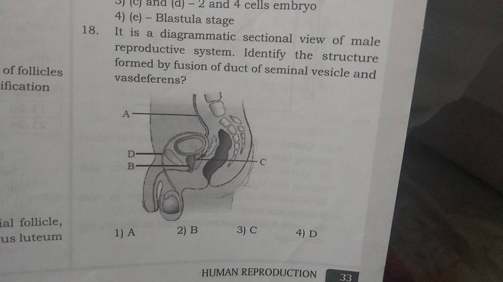 It Is A Diagrammatic Sectional View Of Male Reproductive System Identify 8082