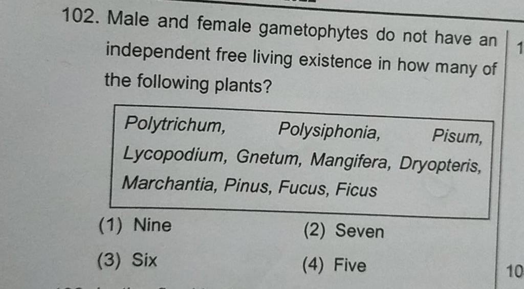 Male and female gametophytes do not have an independent free living exist Male and female gametophytes do not have an independent free living exist