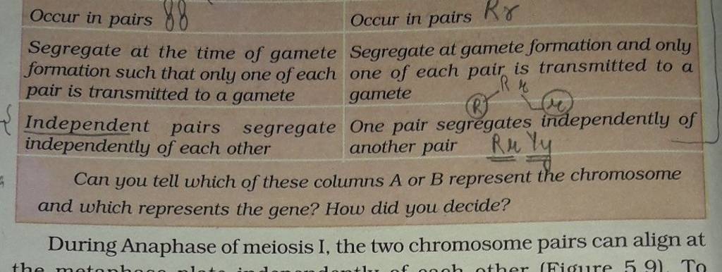 Can you tell which of these columns A or B represent the chromosome an