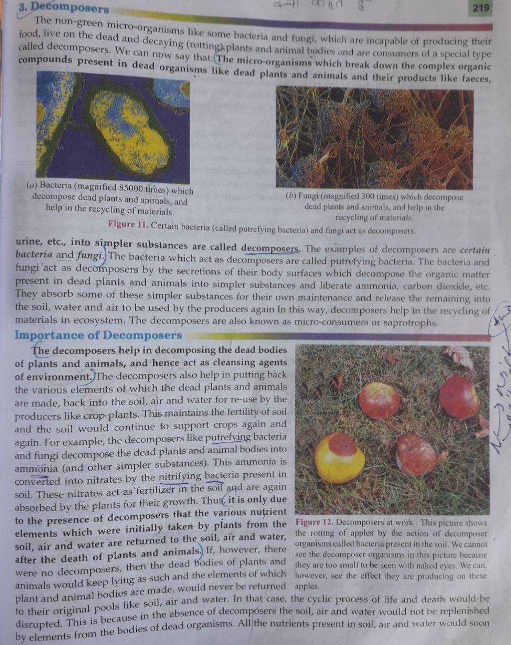 food, live on the dead and decaying (rottinghplants and animal bodies and..