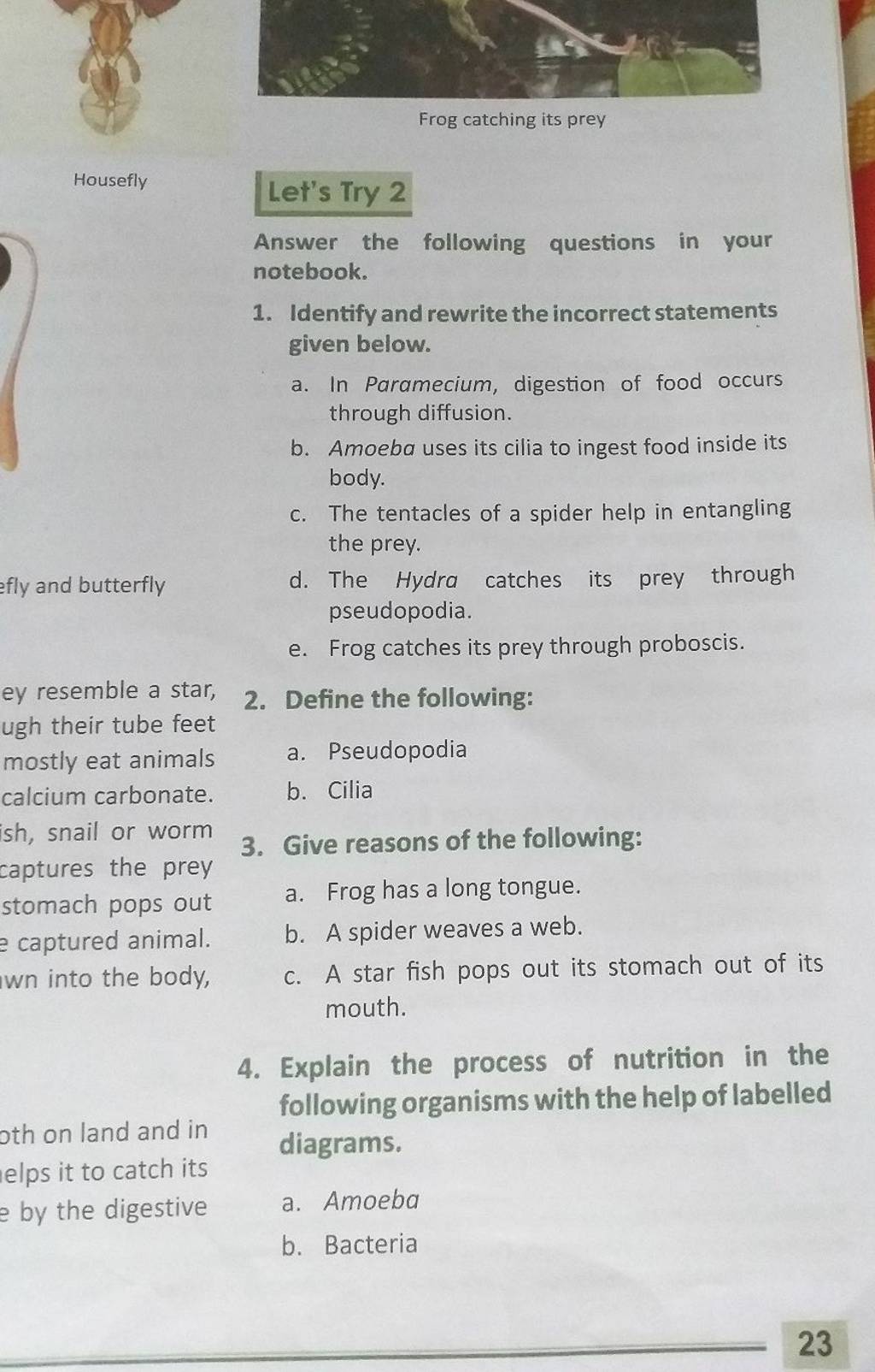 ey resemble a star, 2. Define the following ugh their tube feet Filo