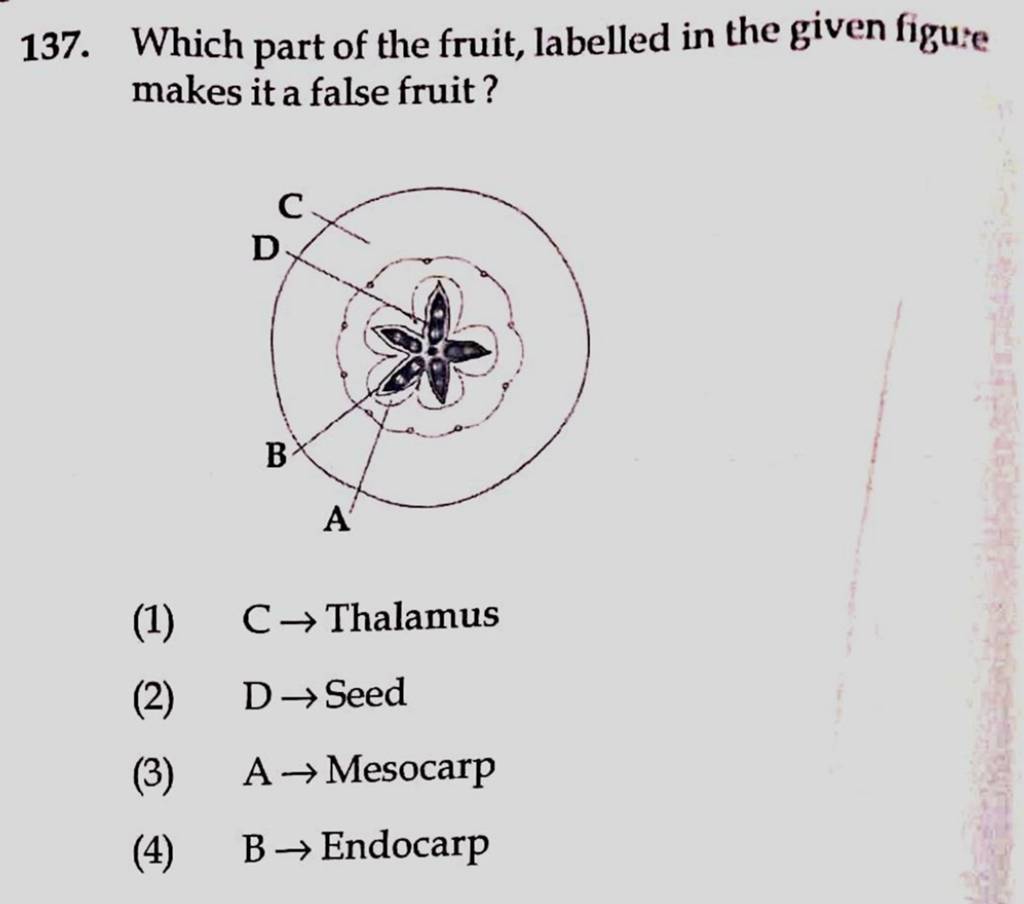 Which part of the fruit, labelled in the given figu'e makes it a false fr..