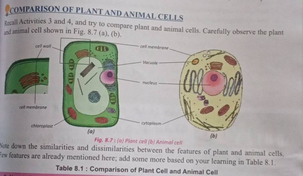 COMPARISON OF PLANT AND ANIMAL CELLS Recall Activities 3 and 4 , and try ..