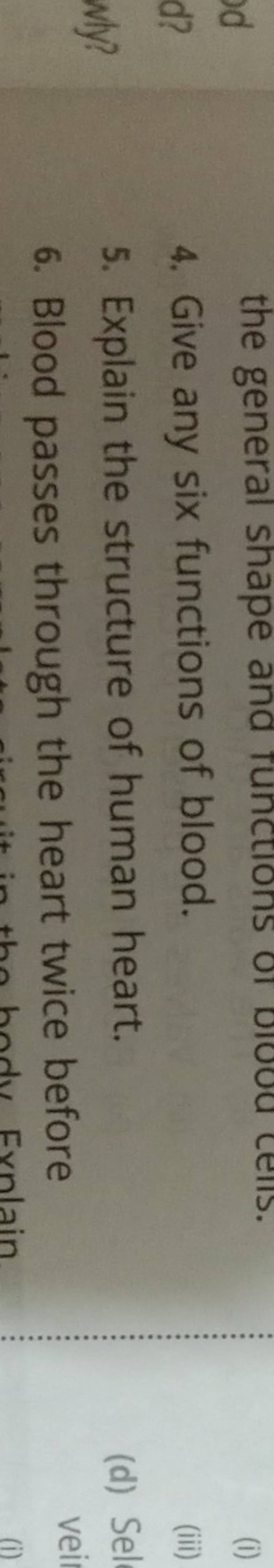 Explain The Structure Of Human Heart