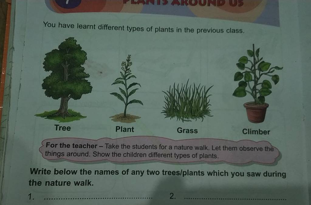 You Have Learnt Different Types Of Plants In The Previous Class Filo