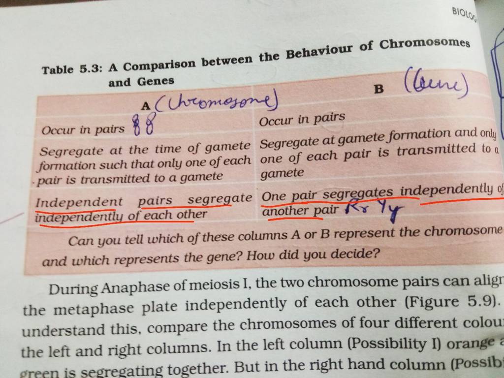 table-5-3-a-comparison-between-the-behaviour-of-chromosomes-and-genes-oc