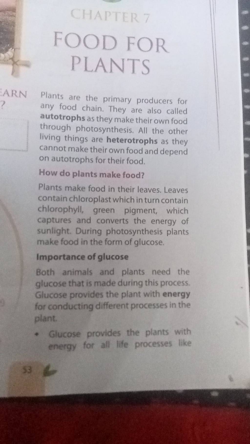 FOODFOR PLANTS ARN Plants are the primary producers for any food chain. T..