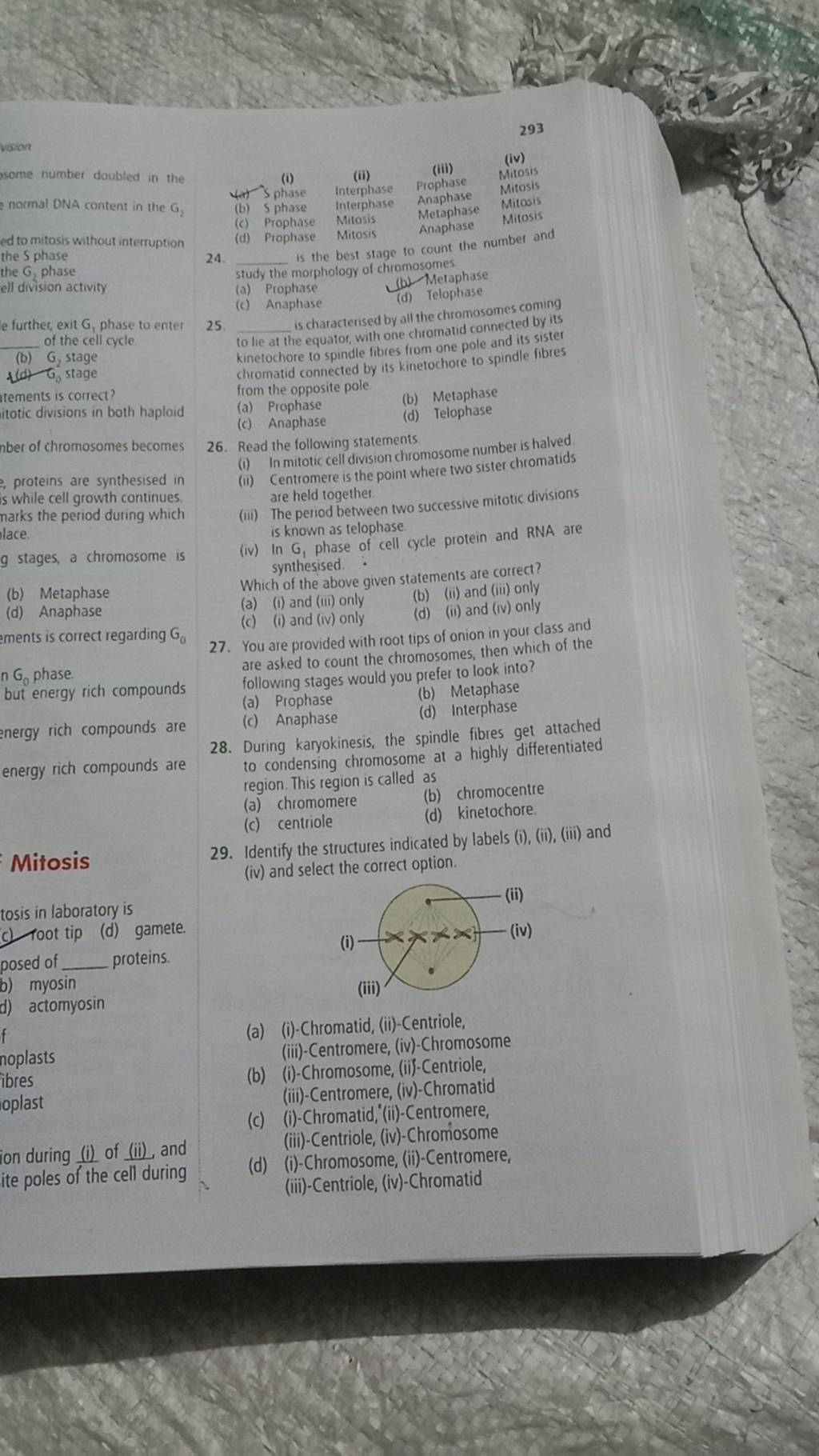 Identify the structures indicated by labels (i), (ii), (iii) and (iv) and..