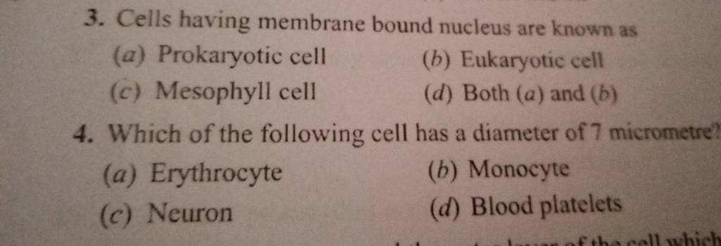 cells-having-membrane-bound-nucleus-are-known-as-filo