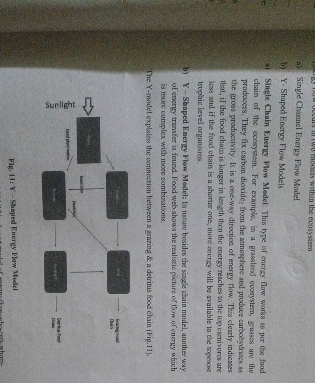 A) Single Channel Energy Flow Model B) Y-Shaped Energy Flow Models A) Sin..