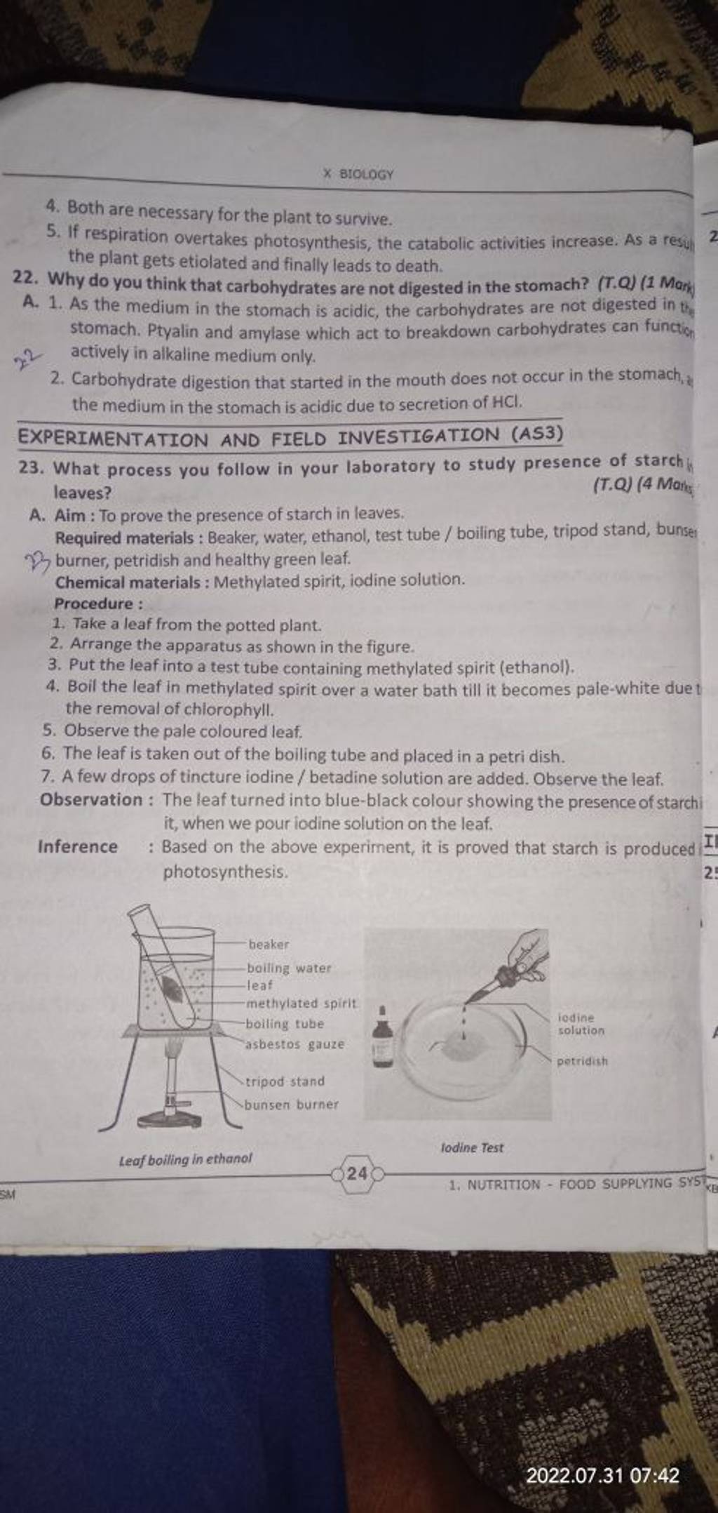 EXPERIMENTATION AND FIELD INVESTIGATION (AS3) 23. What process you follow..