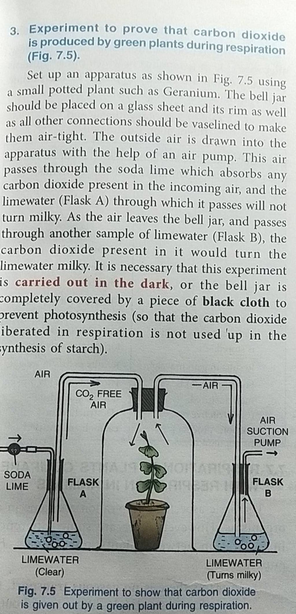 3-experiment-to-prove-that-carbon-dioxide-is-produced-by-green-plants-du