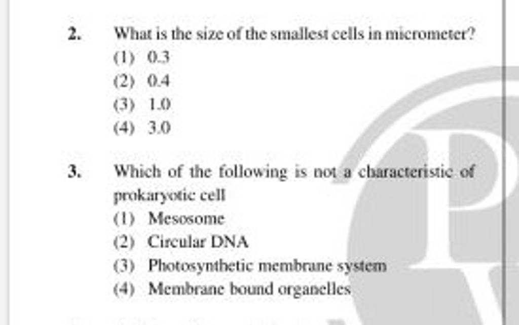 What is the size of the smallest cells in micrometer? Filo
