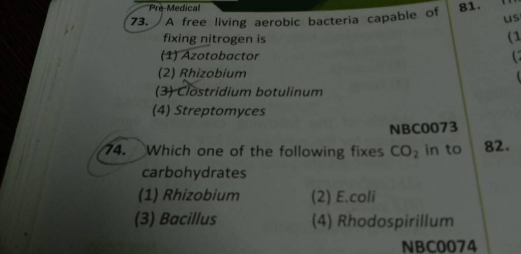 a-free-living-aerobic-bacteria-capable-of-fixing-nitrogen-is-filo