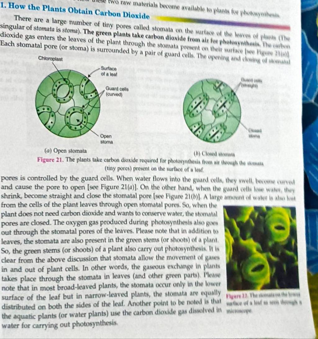 1. How the Plants Obtain Carbon Dioxide Each stomatal pore (ors Filo