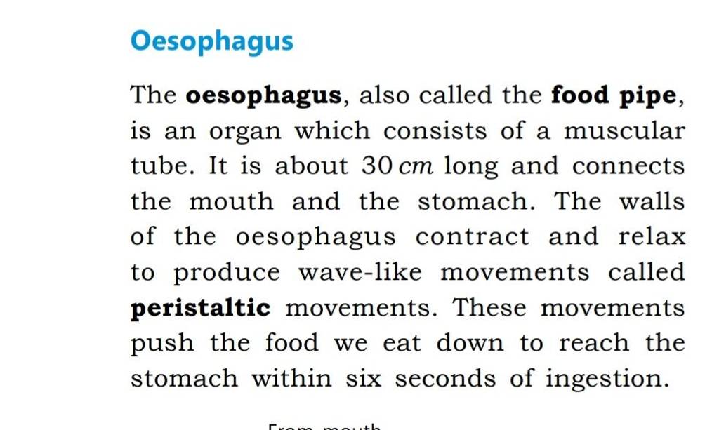 Oesophagus The oesophagus, also called the food pipe, is an organ which c..