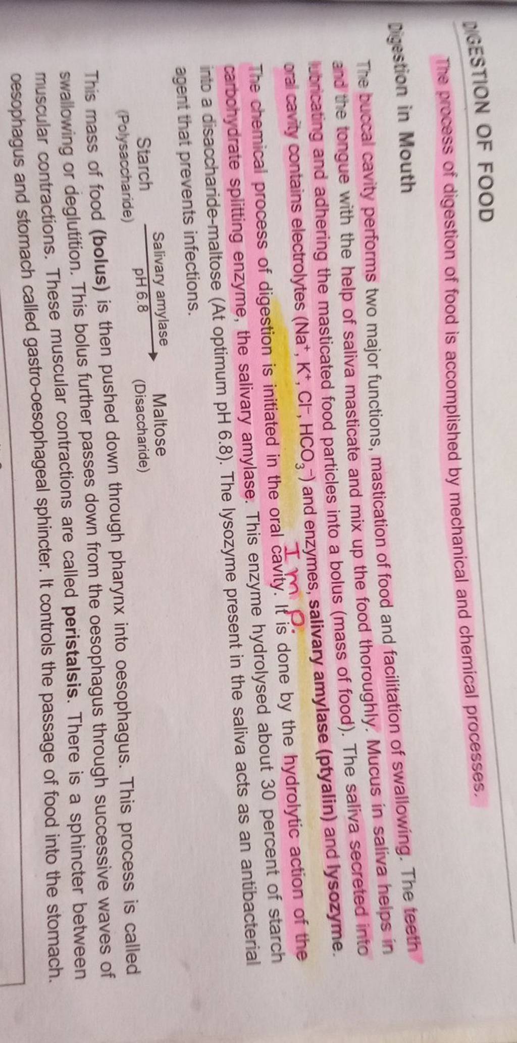 The process of digestion of food is by mechanical and chemic..