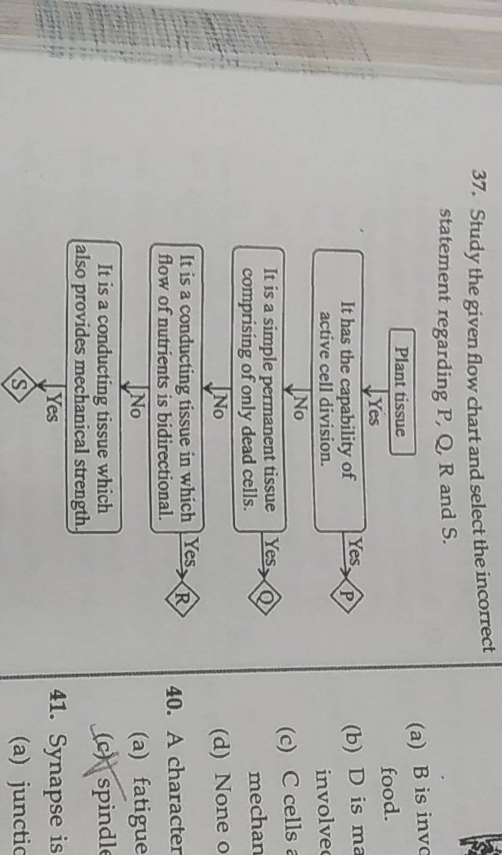 Refer To The Given Flow Chart And Select The Correct Option Filo