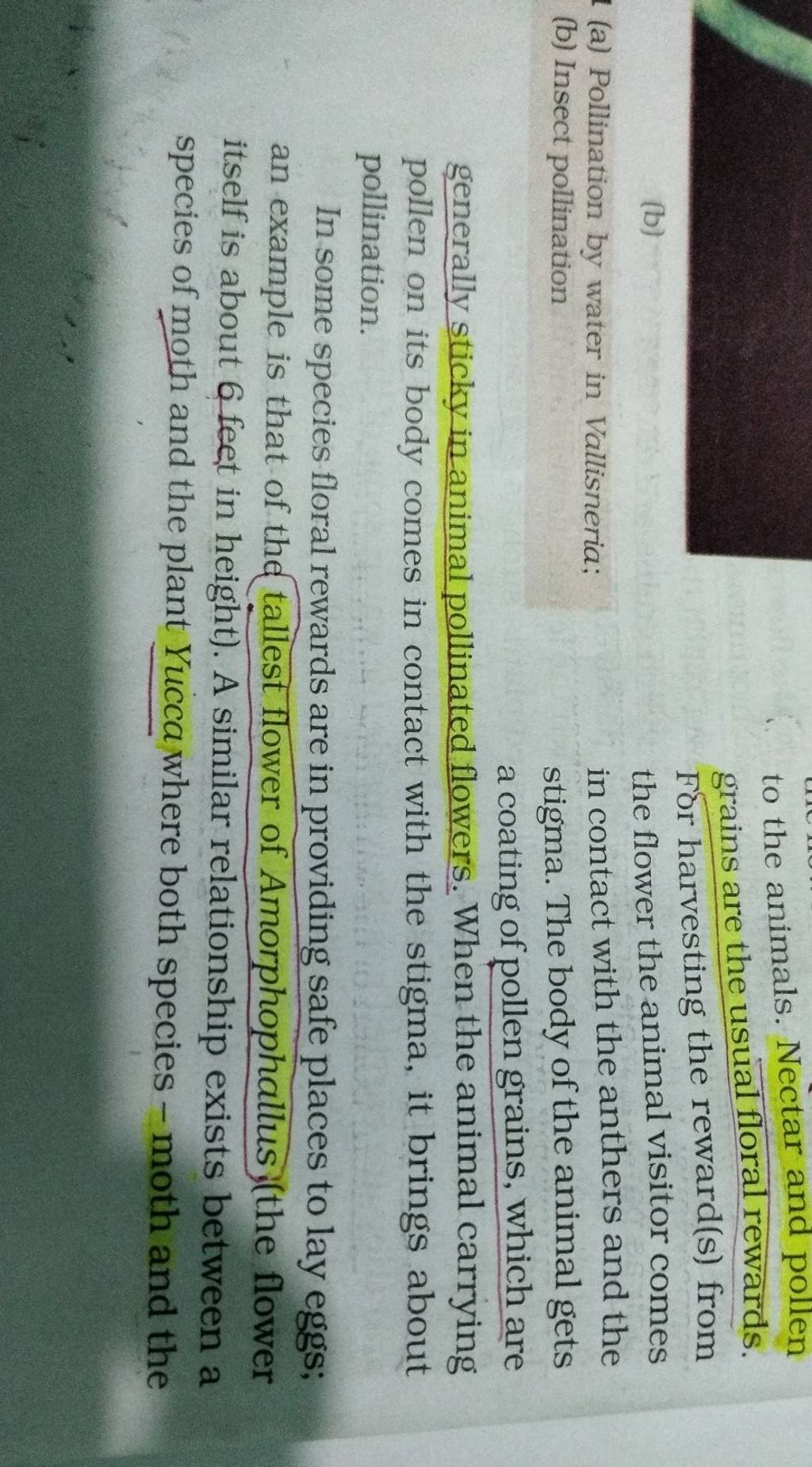 Explain Why Insect Pollinated Flowers Have Sticky Pollen Grains Best