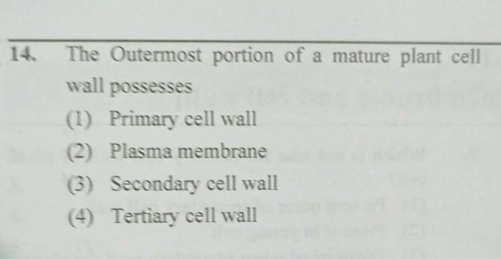 the-outermost-portion-of-a-mature-plant-cell-wall-possesses-filo