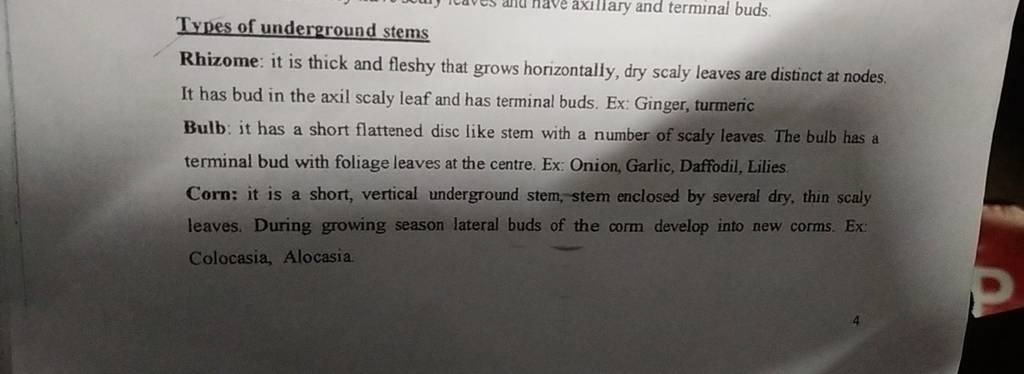 Types of underground stems
Rhizome: it is thick and fleshy that grows 