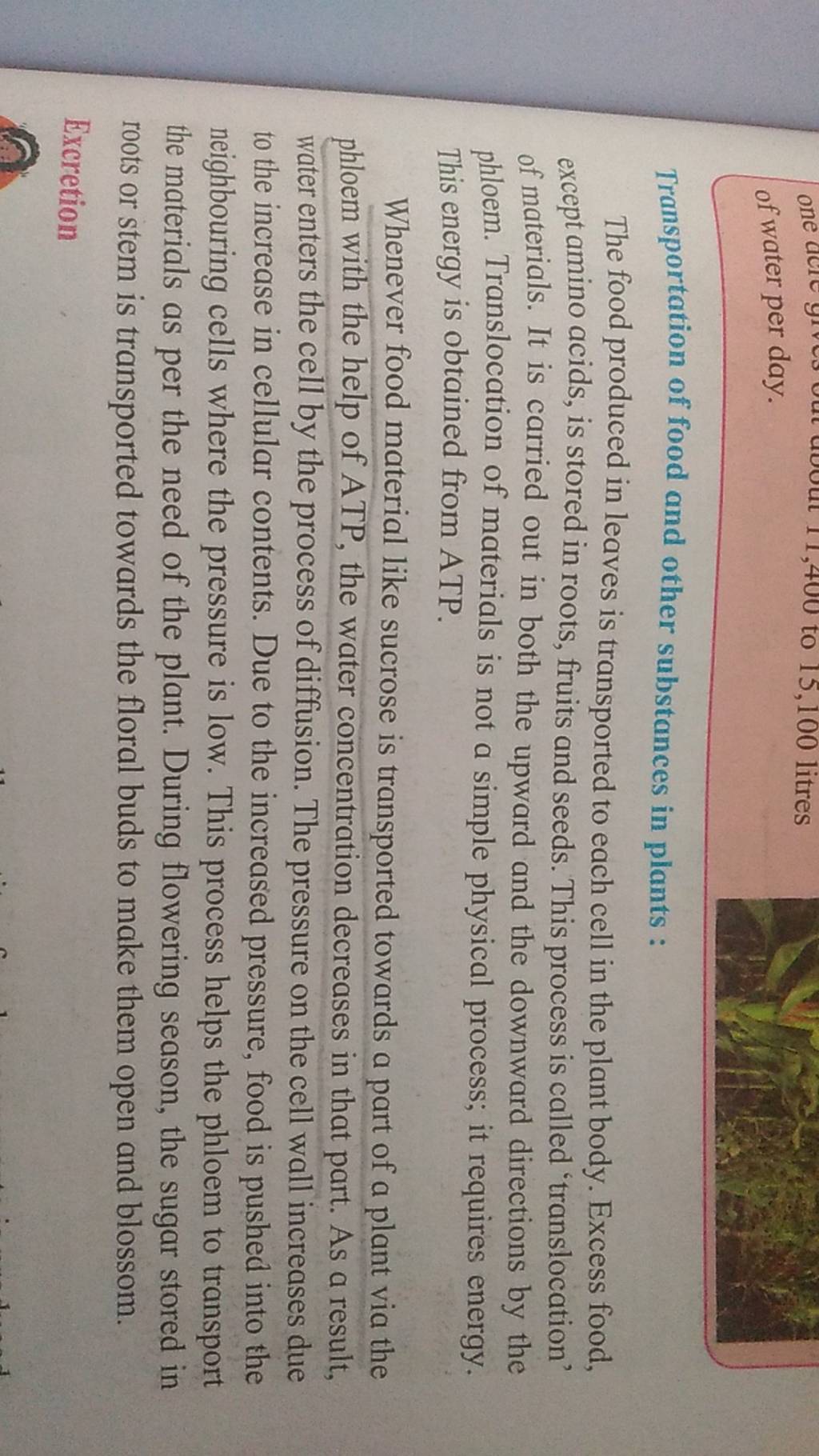 Transportation of food and other substances in plants The food produced..